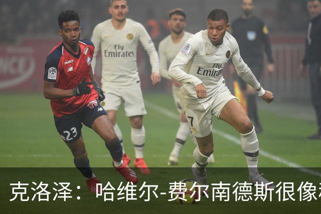 克洛泽：哈维尔-费尔南德斯很像穆勒和克罗斯，但仍需脚踏实地
